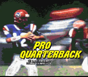 Pro Quarterback (USA) screen shot title